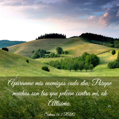 Picture 03 - Salmos 56:2 RVA - Apúranme mis enemigos cada día; Porque muchos - Bible Verse Picture