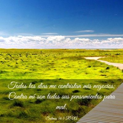Picture 03 - Salmos 56:5 RVA - Todos los días me contristan mis negocios; - Bible Verse Picture