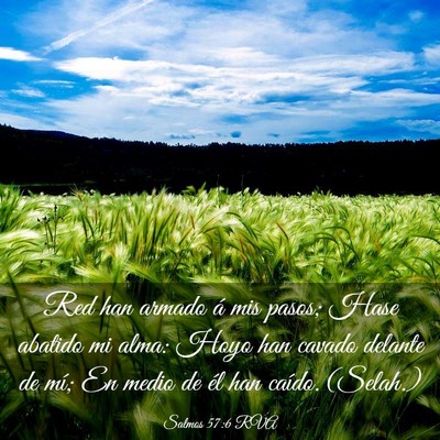 Picture 03 - Salmos 57:6 RVA - Red han armado á mis pasos; Hase abatido mi - Bible Verse Picture