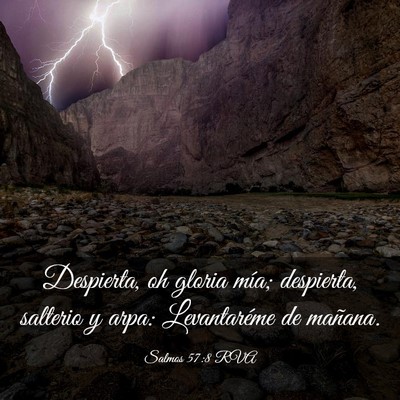 Picture 03 - Salmos 57:8 RVA - Despierta, oh gloria mía; despierta, salterio y - Bible Verse Picture