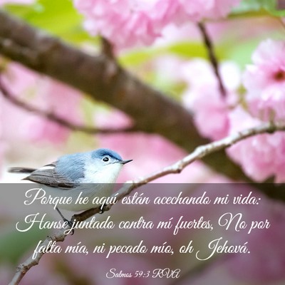Picture 03 - Salmos 59:3 RVA - Porque he aquí están acechando mi vida: Hanse - Bible Verse Picture