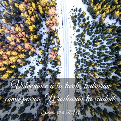 Picture 03 - Salmos 59:6 RVA - Volveránse á la tarde, ladrarán como perros, Y - Bible Verse Picture