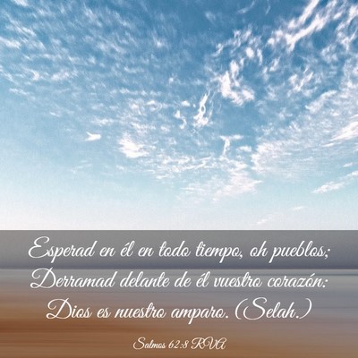 Picture 03 - Salmos 62:8 RVA - Esperad en él en todo tiempo, oh pueblos; - Bible Verse Picture