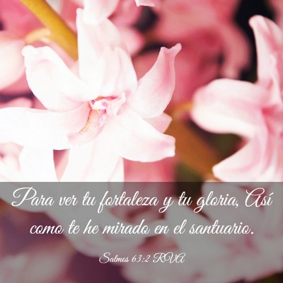 Picture 03 - Salmos 63:2 RVA - Para ver tu fortaleza y tu gloria, Así como te - Bible Verse Picture