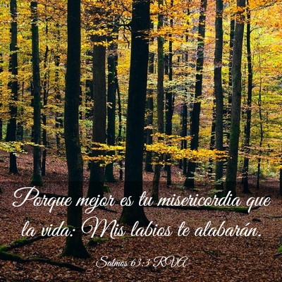 Picture 03 - Salmos 63:3 RVA - Porque mejor es tu misericordia que la vida: Mis - Bible Verse Picture