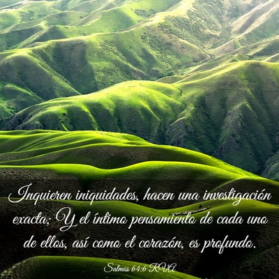 Picture 03 - Salmos 64:6 RVA - Inquieren iniquidades, hacen una investigación - Bible Verse Picture