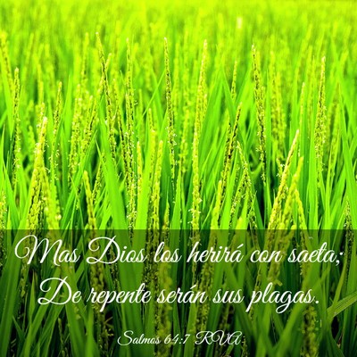 Picture 03 - Salmos 64:7 RVA - Mas Dios los herirá con saeta; De repente serán - Bible Verse Picture