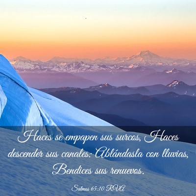 Picture 03 - Salmos 65:10 RVA - Haces se empapen sus surcos, Haces descender sus - Bible Verse Picture
