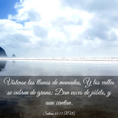 Picture 03 - Salmos 65:13 RVA - Vístense los llanos de manadas, Y los valles se - Bible Verse Picture