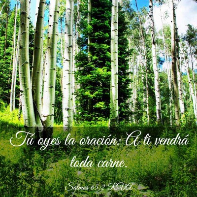 Picture 03 - Salmos 65:2 RVA - Tú oyes la oración: A ti vendrá toda - Bible Verse Picture
