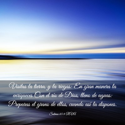 Picture 03 - Salmos 65:9 RVA - Visitas la tierra, y la riegas: En gran manera la - Bible Verse Picture
