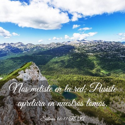 Picture 03 - Salmos 66:11 RVA - Nos metiste en la red; Pusiste apretura en - Bible Verse Picture