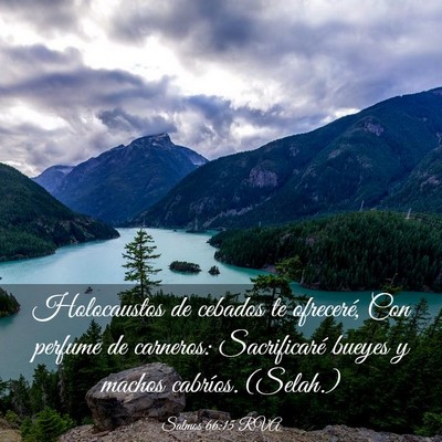 Picture 03 - Salmos 66:15 RVA - Holocaustos de cebados te ofreceré, Con perfume - Bible Verse Picture
