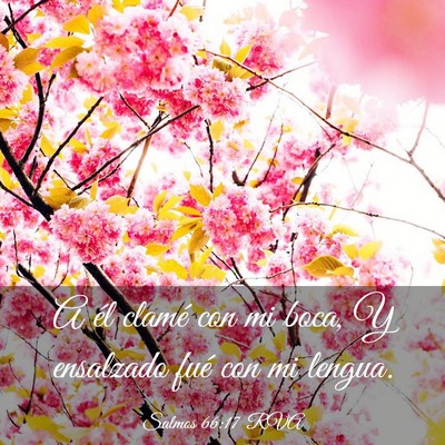 Picture 03 - Salmos 66:17 RVA - A él clamé con mi boca, Y ensalzado fué con mi - Bible Verse Picture