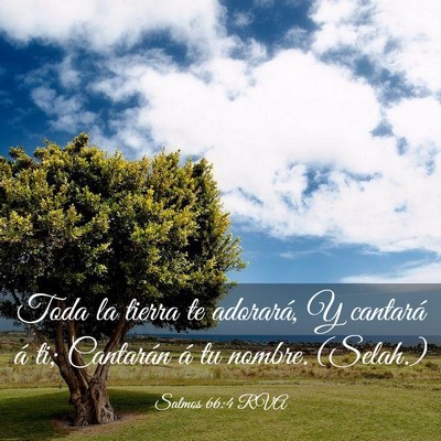 Picture 03 - Salmos 66:4 RVA - Toda la tierra te adorará, Y cantará á ti; - Bible Verse Picture