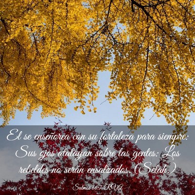 Picture 03 - Salmos 66:7 RVA - El se enseñorea con su fortaleza para siempre: - Bible Verse Picture