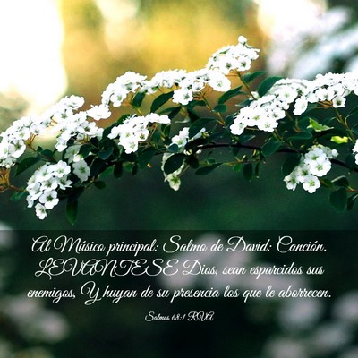 Picture 03 - Salmos 68:1 RVA - Al Músico principal: Salmo de David: Canción. - Bible Verse Picture