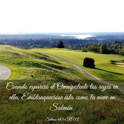 Picture 03 - Salmos 68:14 RVA - Cuando esparció el Omnipotente los reyes en - Bible Verse Picture