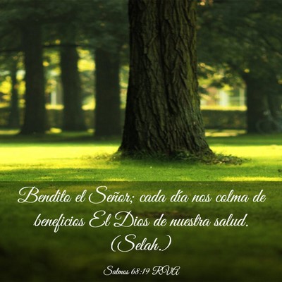 Picture 03 - Salmos 68:19 RVA - Bendito el Señor; cada día nos colma de - Bible Verse Picture