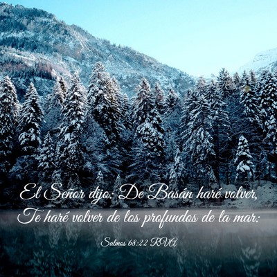 Picture 03 - Salmos 68:22 RVA - El Señor dijo: De Basán haré volver, Te haré - Bible Verse Picture