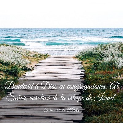 Picture 03 - Salmos 68:26 RVA - Bendecid á Dios en congregaciones: Al Señor, - Bible Verse Picture