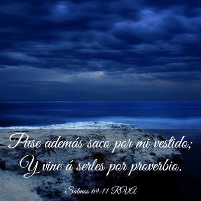 Picture 03 - Salmos 69:11 RVA - Puse además saco por mi vestido; Y vine á - Bible Verse Picture