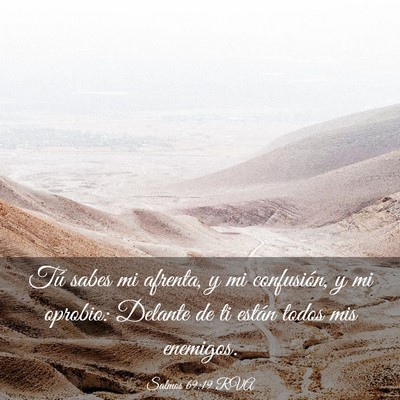 Picture 03 - Salmos 69:19 RVA - Tú sabes mi afrenta, y mi confusión, y mi - Bible Verse Picture