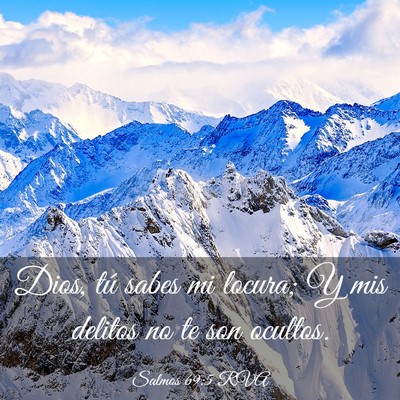 Picture 03 - Salmos 69:5 RVA - Dios, tú sabes mi locura; Y mis delitos no te - Bible Verse Picture