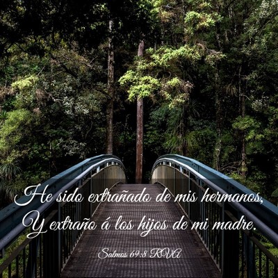 Picture 03 - Salmos 69:8 RVA - He sido extrañado de mis hermanos, Y extraño á - Bible Verse Picture
