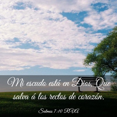 Picture 03 - Salmos 7:10 RVA - Mi escudo está en Dios, Que salva á los rectos - Bible Verse Picture