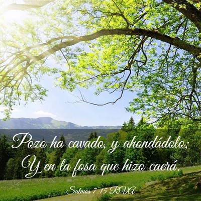 Picture 03 - Salmos 7:15 RVA - Pozo ha cavado, y ahondádolo; Y en la fosa que - Bible Verse Picture