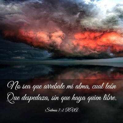 Picture 03 - Salmos 7:2 RVA - No sea que arrebate mi alma, cual león Que - Bible Verse Picture
