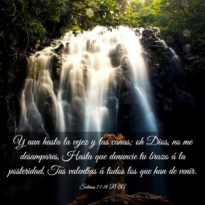 Picture 03 - Salmos 71:18 RVA - Y aun hasta la vejez y las canas; oh Dios, no me - Bible Verse Picture