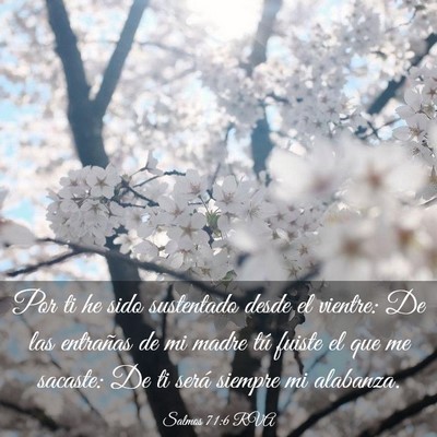 Picture 03 - Salmos 71:6 RVA - Por ti he sido sustentado desde el vientre: De - Bible Verse Picture