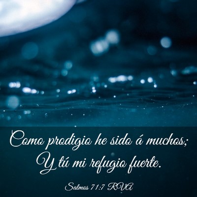 Picture 03 - Salmos 71:7 RVA - Como prodigio he sido á muchos; Y tú mi refugio - Bible Verse Picture