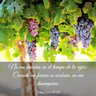 Picture 03 - Salmos 71:9 RVA - No me deseches en el tiempo de la vejez; Cuando - Bible Verse Picture