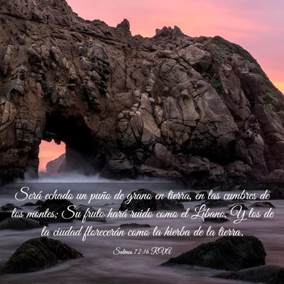 Picture 03 - Salmos 72:16 RVA - Será echado un puño de grano en tierra, en las - Bible Verse Picture