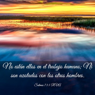 Picture 03 - Salmos 73:5 RVA - No están ellos en el trabajo humano; Ni son - Bible Verse Picture