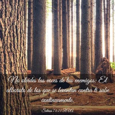 Picture 03 - Salmos 74:23 RVA - No olvides las voces de tus enemigos: El alboroto - Bible Verse Picture