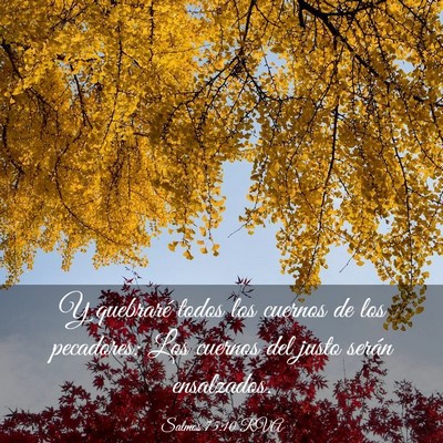 Picture 03 - Salmos 75:10 RVA - Y quebraré todos los cuernos de los pecadores: - Bible Verse Picture