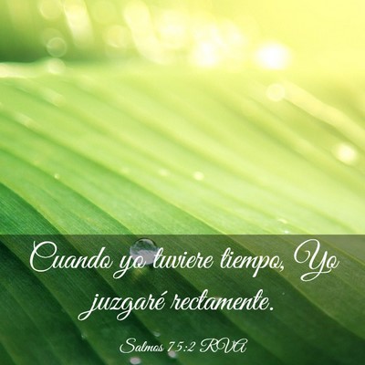 Picture 03 - Salmos 75:2 RVA - Cuando yo tuviere tiempo, Yo juzgaré - Bible Verse Picture