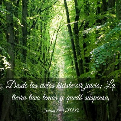 Picture 03 - Salmos 76:8 RVA - Desde los cielos hiciste oir juicio; La tierra - Bible Verse Picture