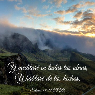Picture 03 - Salmos 77:12 RVA - Y meditaré en todas tus obras, Y hablaré de tus - Bible Verse Picture