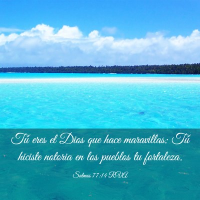 Picture 03 - Salmos 77:14 RVA - Tú eres el Dios que hace maravillas: Tú hiciste - Bible Verse Picture