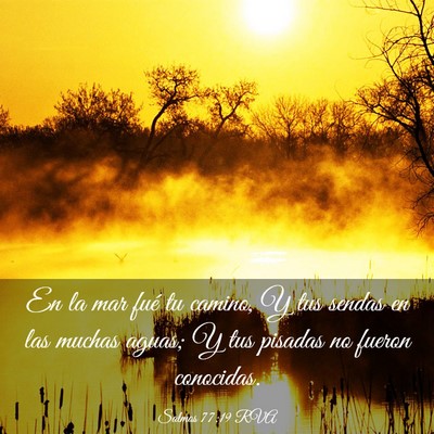 Picture 03 - Salmos 77:19 RVA - En la mar fué tu camino, Y tus sendas en las - Bible Verse Picture
