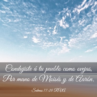 Picture 03 - Salmos 77:20 RVA - Condujiste á tu pueblo como ovejas, Por mano de - Bible Verse Picture