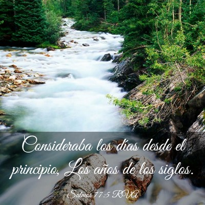 Picture 03 - Salmos 77:5 RVA - Consideraba los días desde el principio, Los - Bible Verse Picture