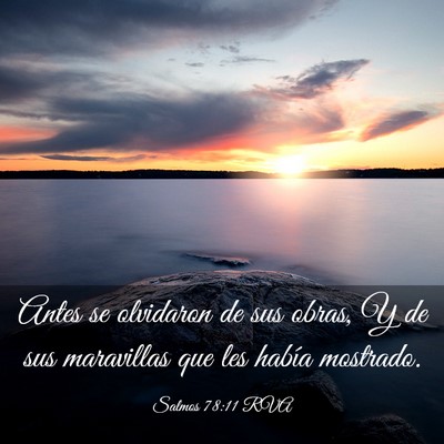 Picture 03 - Salmos 78:11 RVA - Antes se olvidaron de sus obras, Y de sus - Bible Verse Picture