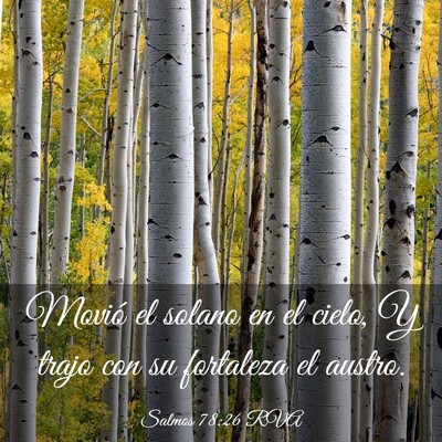 Picture 03 - Salmos 78:26 RVA - Movió el solano en el cielo, Y trajo con su - Bible Verse Picture