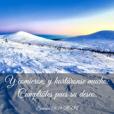 Picture 03 - Salmos 78:29 RVA - Y comieron, y hartáronse mucho: Cumplióles pues - Bible Verse Picture